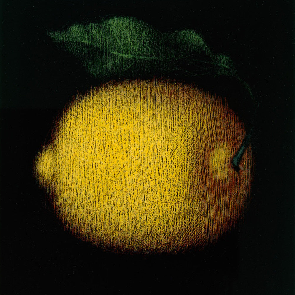 Lemon Wall Art Print