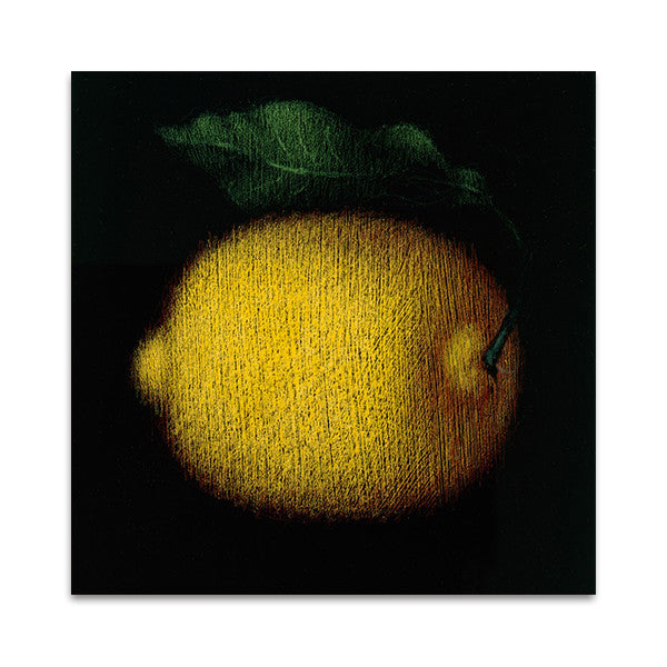 Lemon Wall Art Print