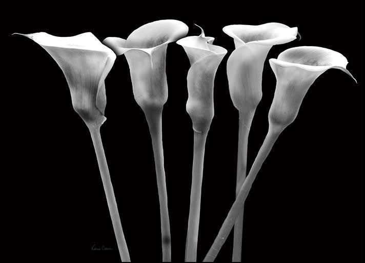 Lilies at Night Wall Art Print