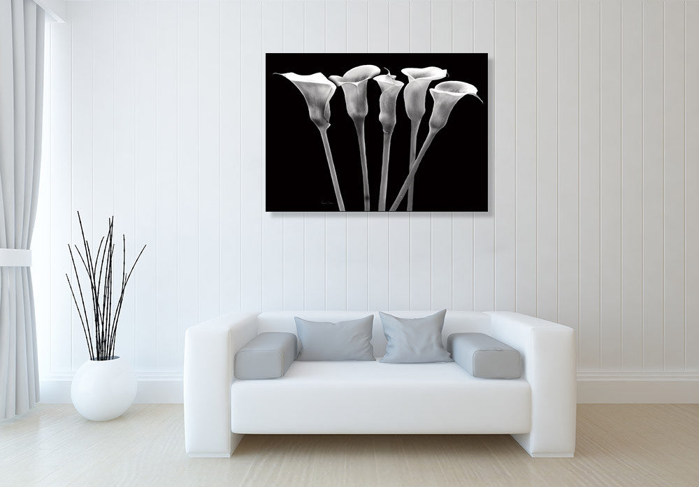 Lilies at Night Wall Art Print on the wall