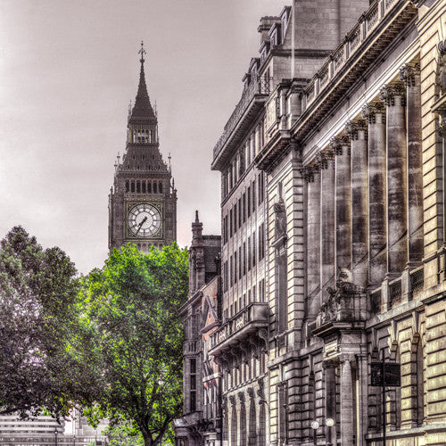 London Tree Wall Art Print