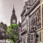 London Tree Wall Art Print
