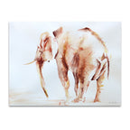 Lone Elephant Wall Art Print