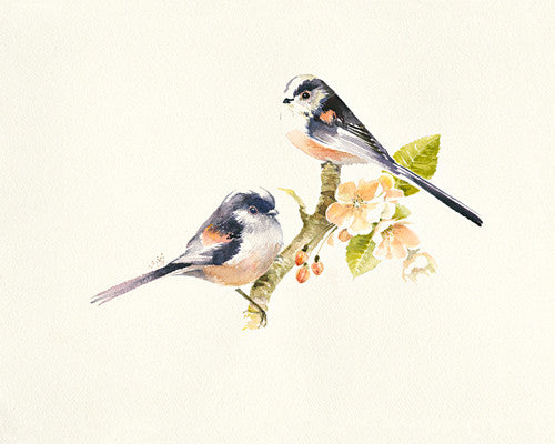 Longtailed Wall Art Print