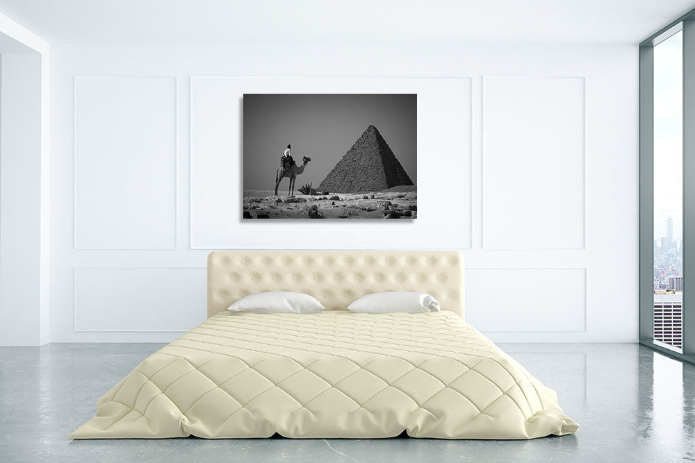Looking Back Jordan Wall Print on the wall
