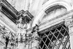 Looking Up Wall Art Print