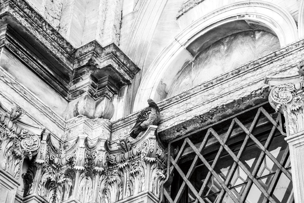 Looking Up Wall Art Print