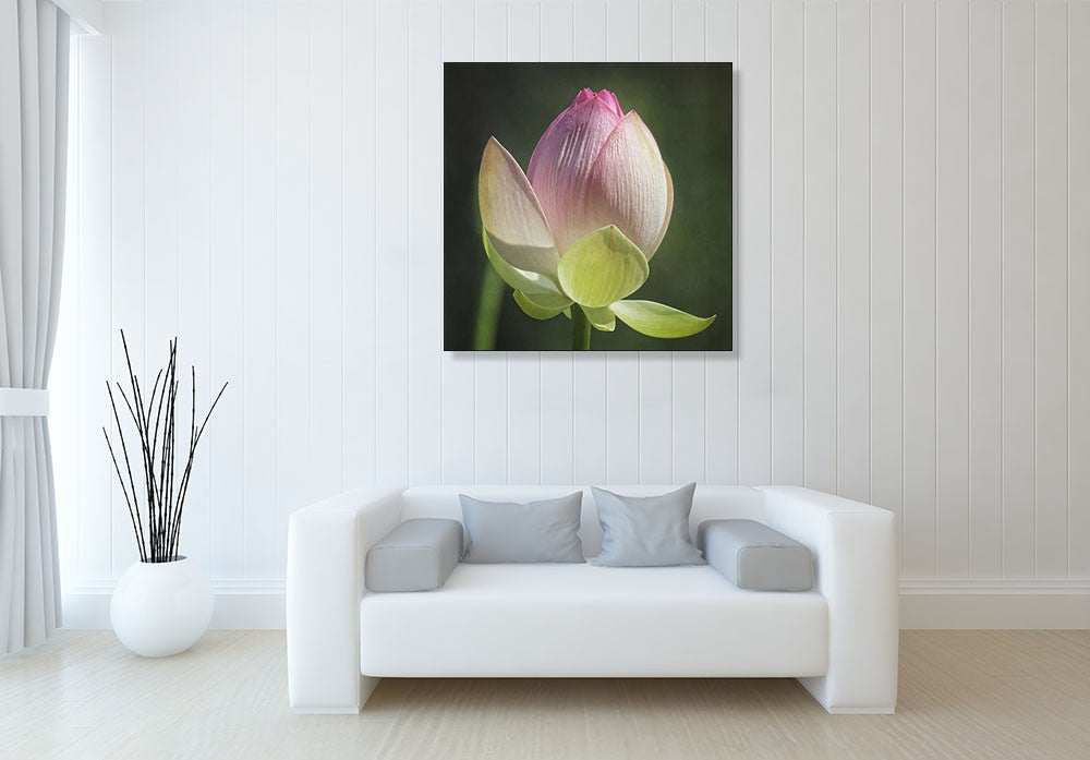 Lotus Bud Wall Art Print on the wall