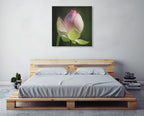 Lotus Bud Wall Art Print on the wall