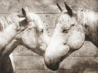 Love Horses Wall Art Print