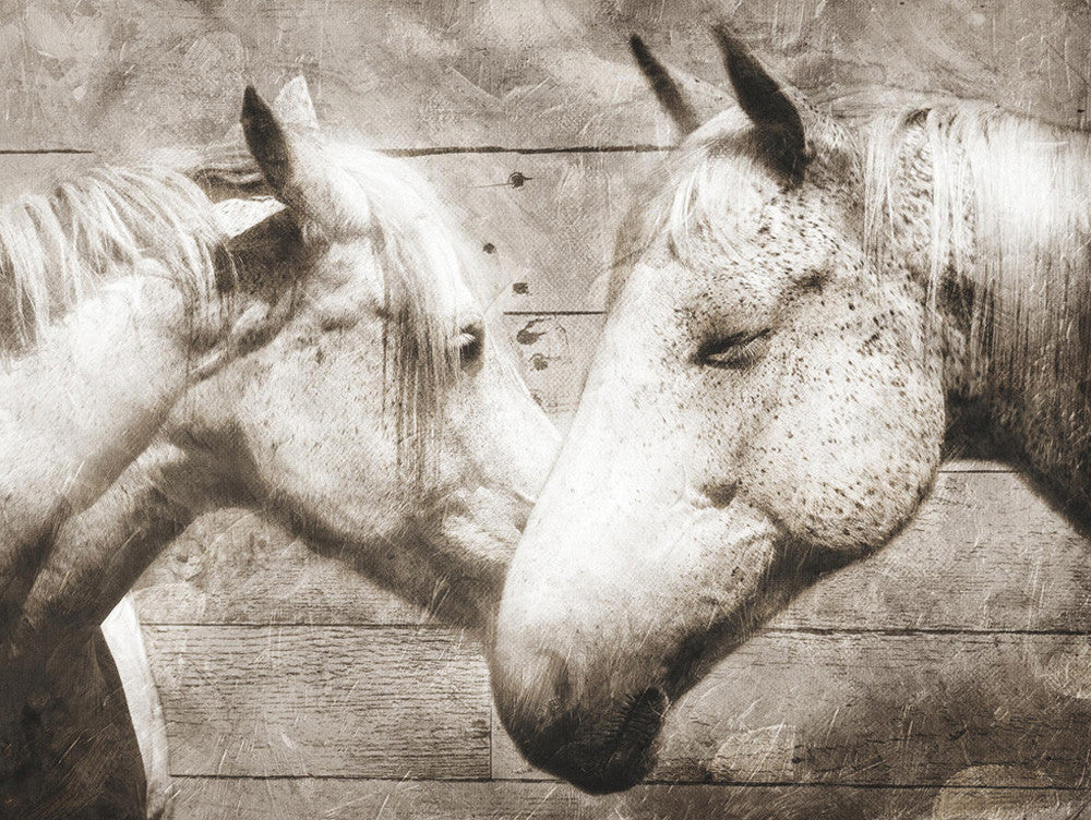 Love Horses Wall Art Print