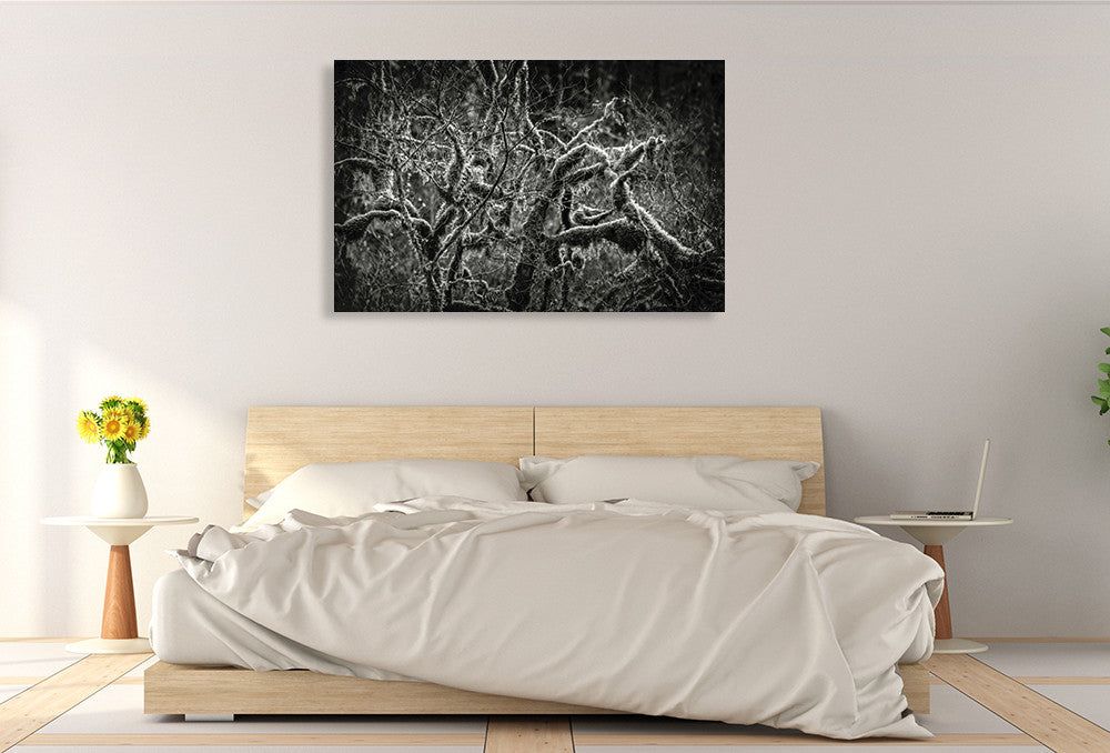 Lowland Winter Forest Wall Art Print on the wall