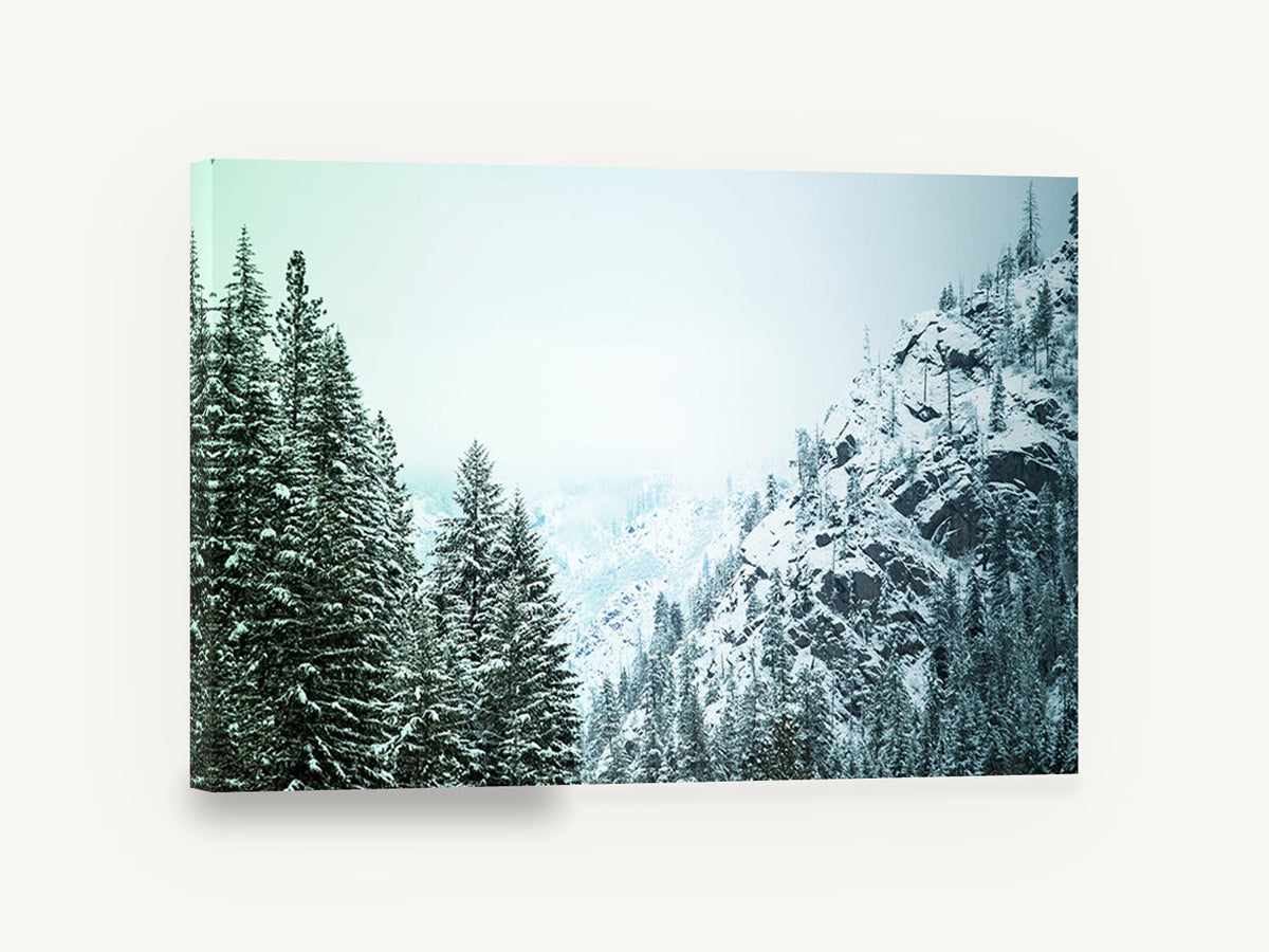 Frosted Pine Ridge, snowy pine mountain slope photograph, landscape canvas wall art print ready to hang