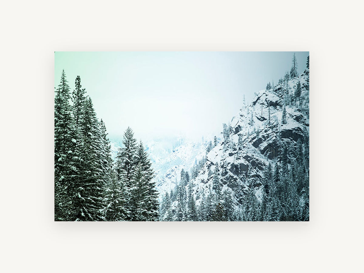 Frosted Pine Ridge, snowy pine mountain slope photograph, landscape canvas wall art print, front view