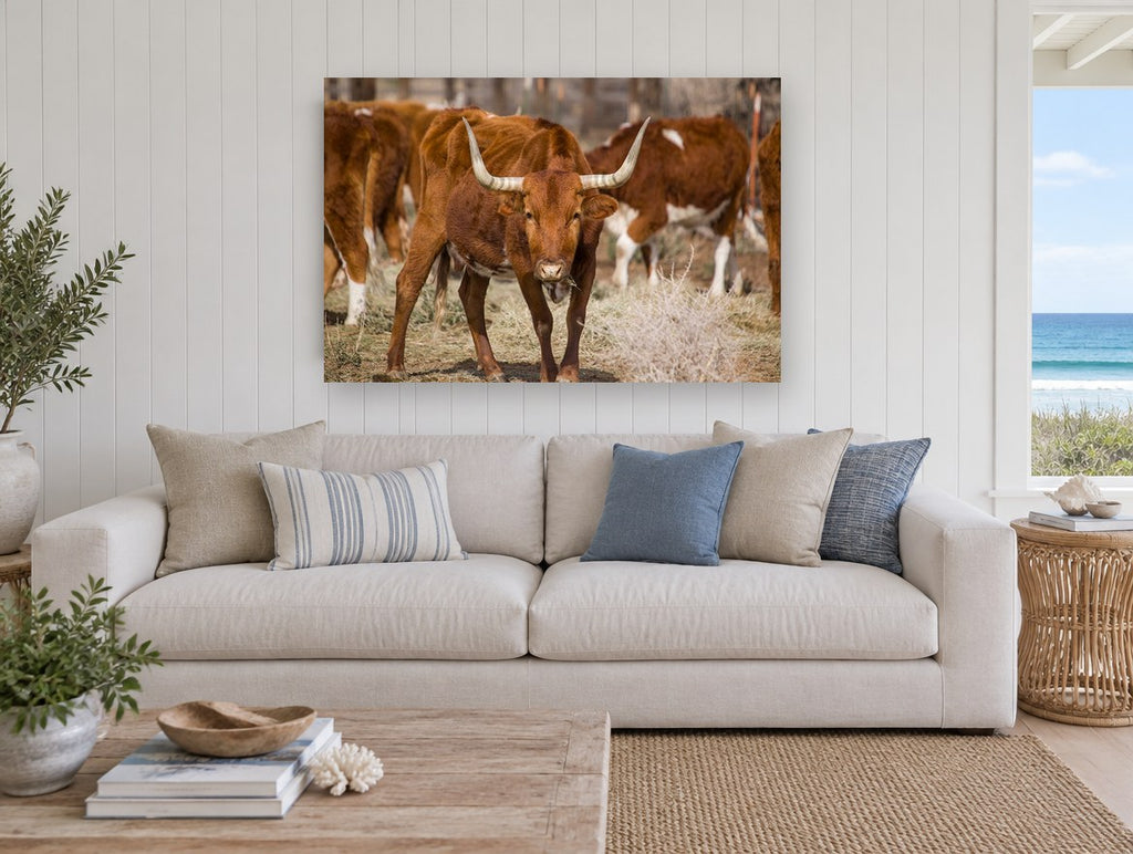 Straw Yard Longhorn animal canvas print on the wall of a beach house living room