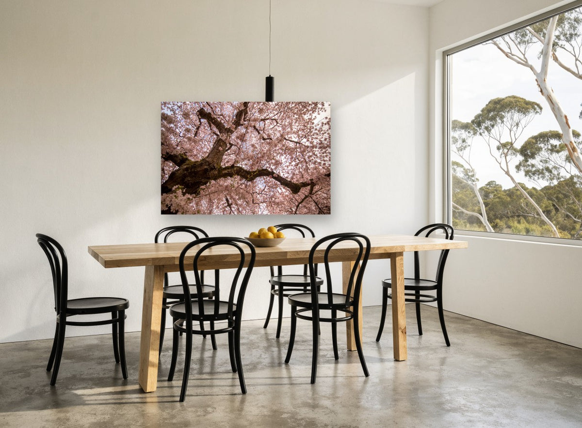 Blossom Canopy Overhead floral canvas print on the wall of a dining room