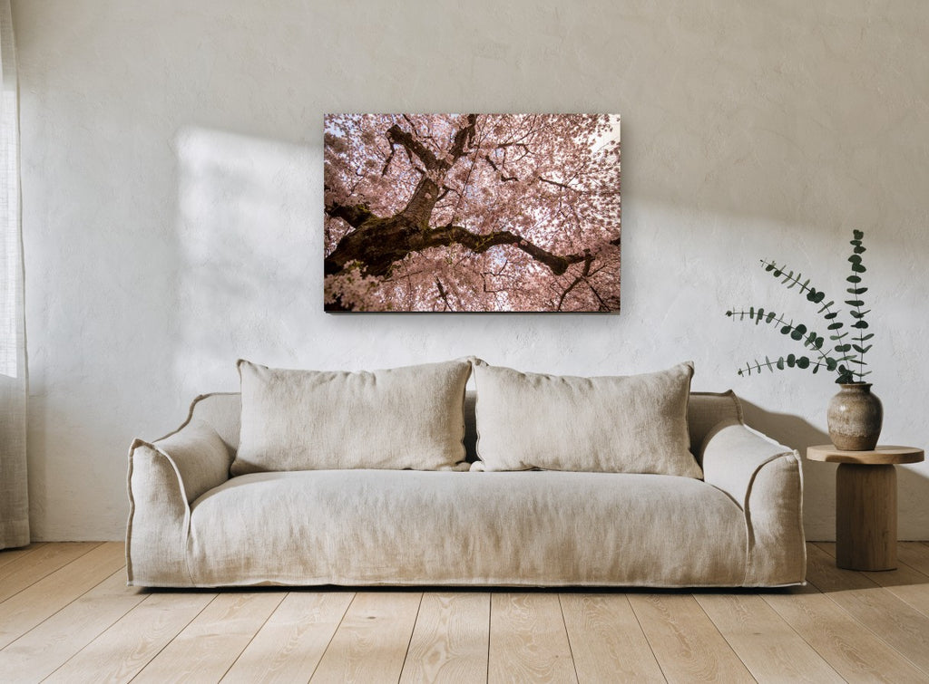 Blossom Canopy Overhead floral canvas print on the wall of a living room
