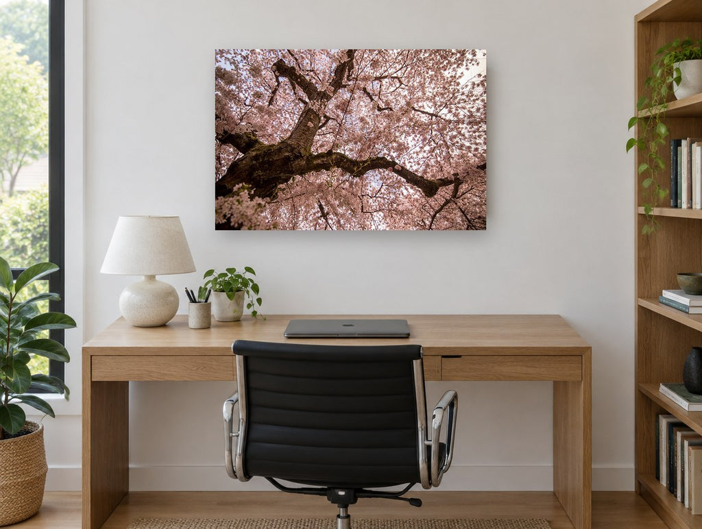 Blossom Canopy Overhead floral canvas print on the wall of a study