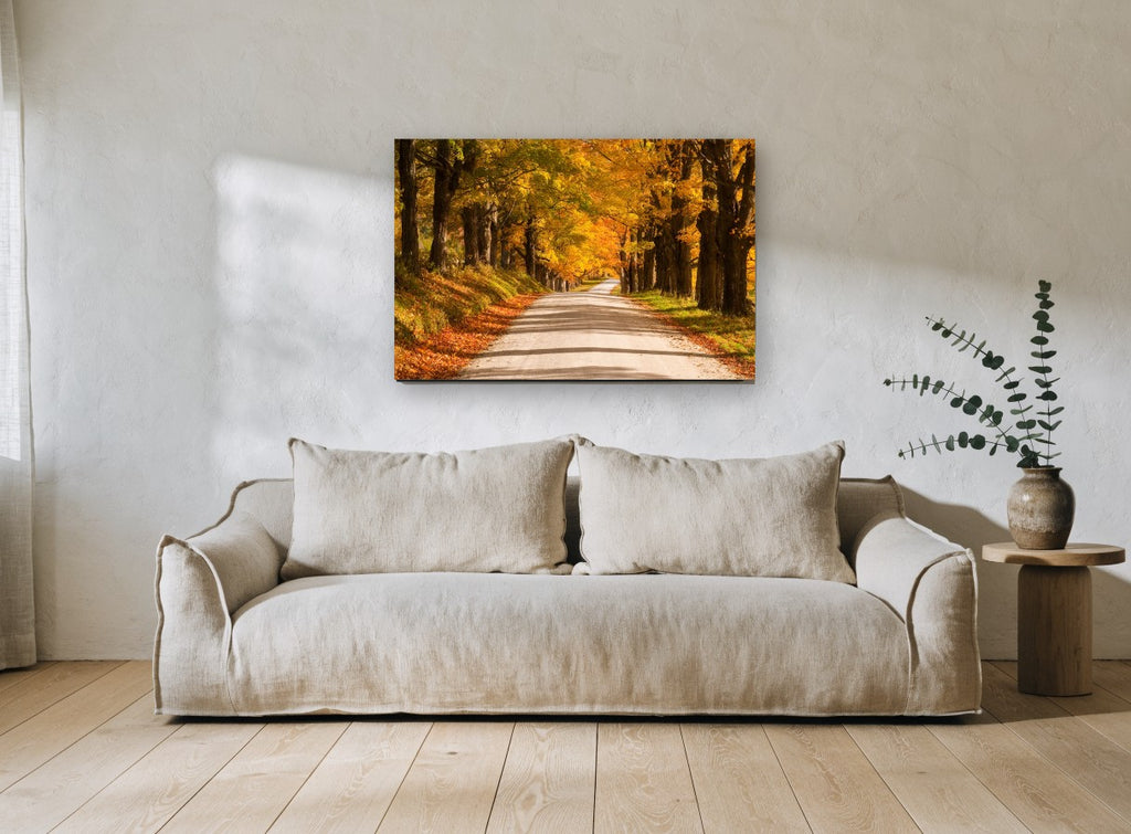 Golden Maple Lane landscape canvas print on the wall of a living room