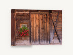 Geraniums on Weathered Timber, red geraniums rustic barn door photograph, floral canvas wall art print ready to hang