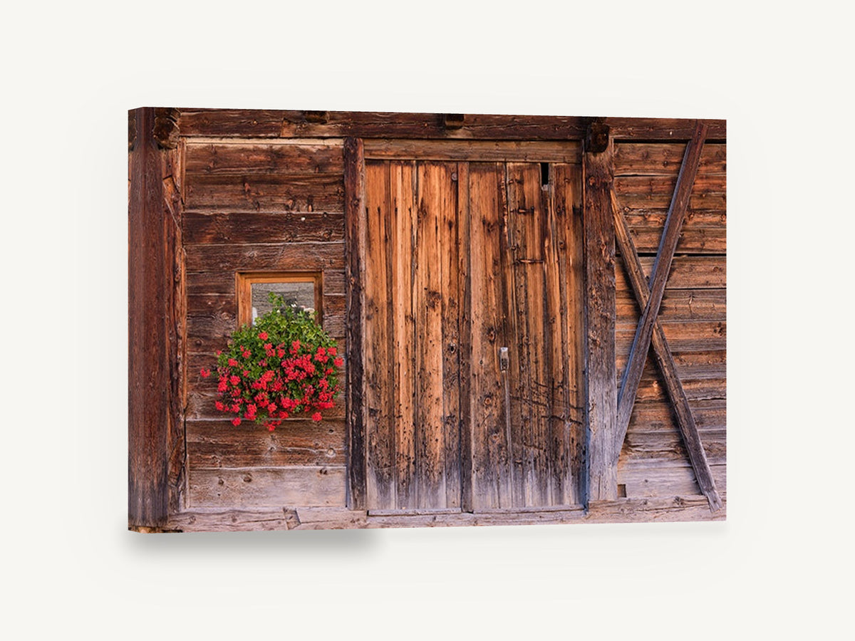 Geraniums on Weathered Timber, red geraniums rustic barn door photograph, floral canvas wall art print ready to hang