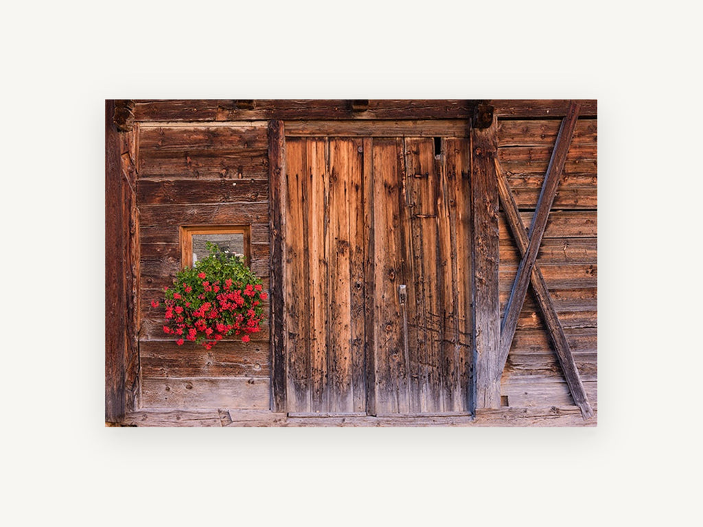 Geraniums on Weathered Timber, floral canvas wall art print, front view