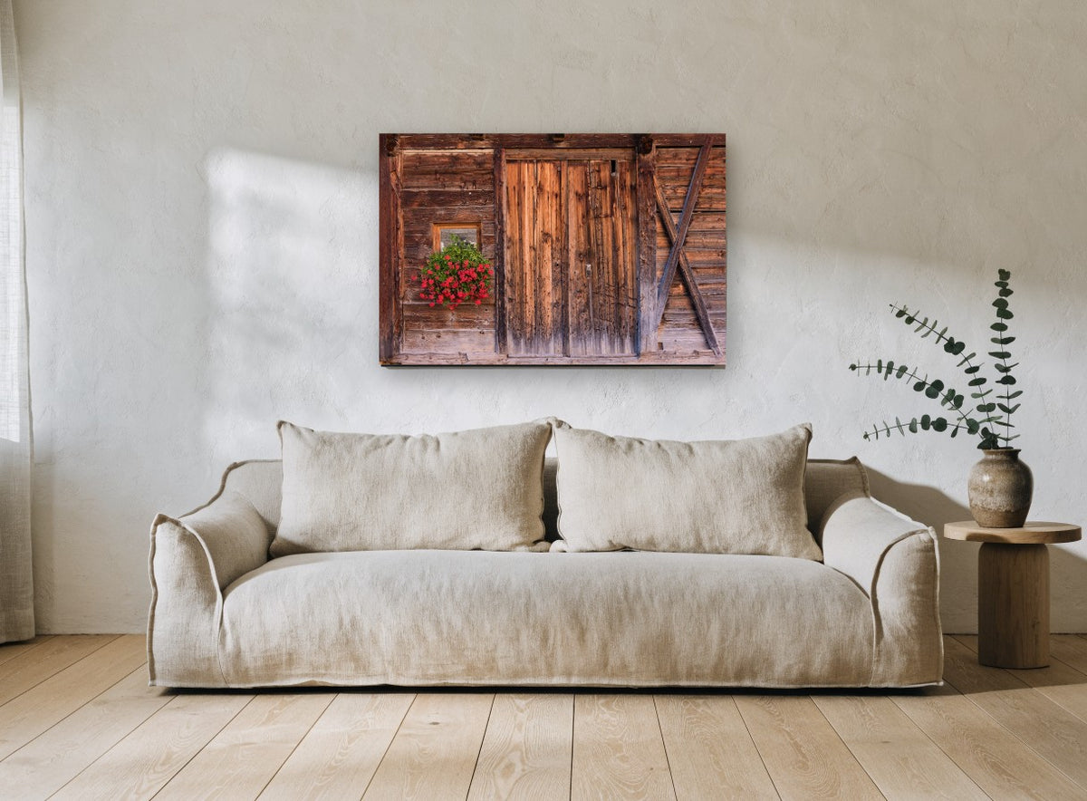 Geraniums on Weathered Timber floral canvas print on the wall of a living room