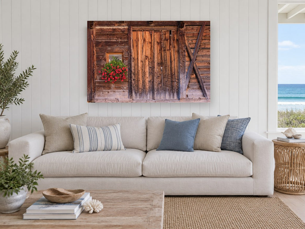 Geraniums on Weathered Timber floral canvas print on the wall of a beach house living room