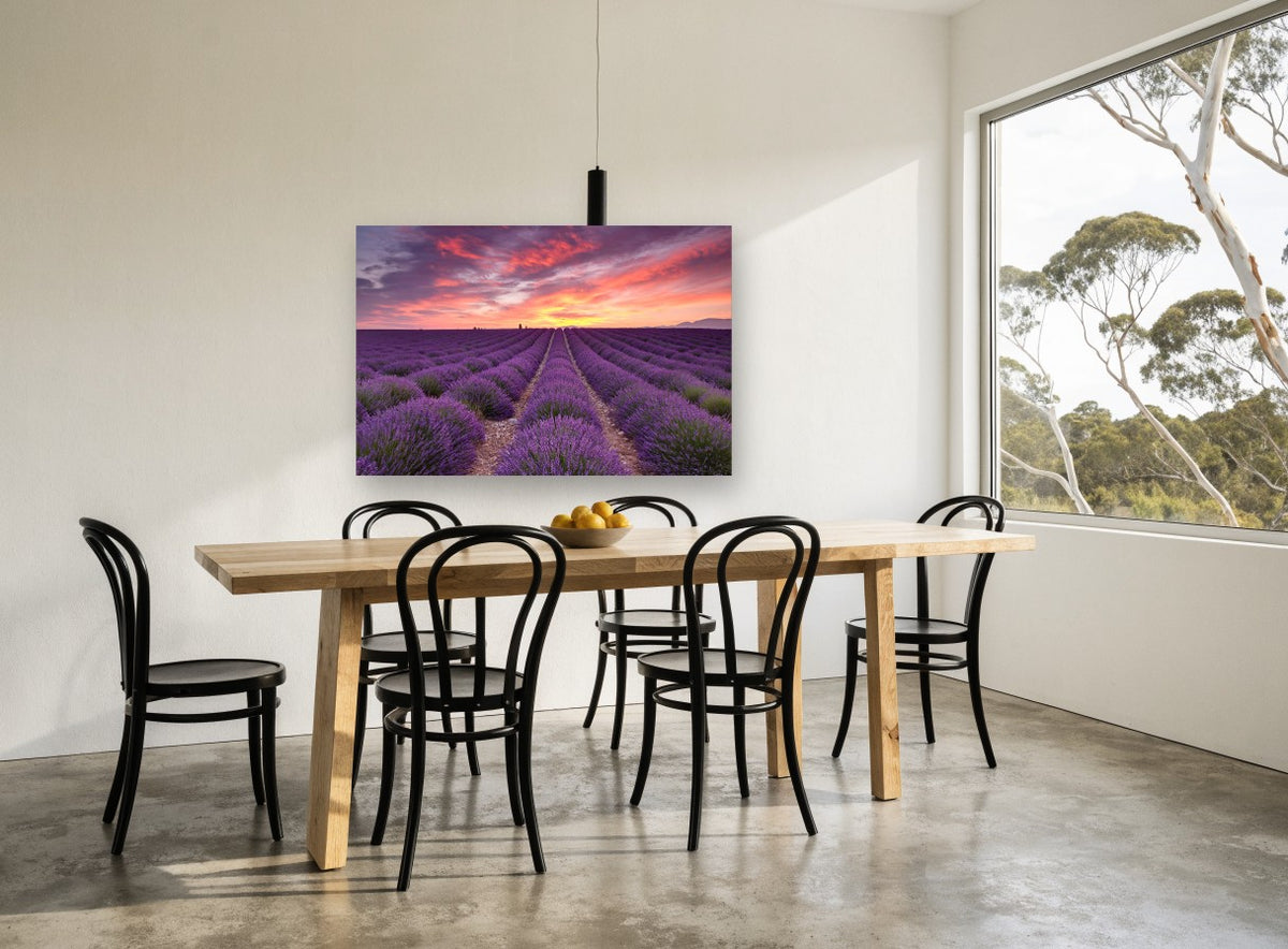 Lavender Rows at Dawn landscape canvas print on the wall of a dining room
