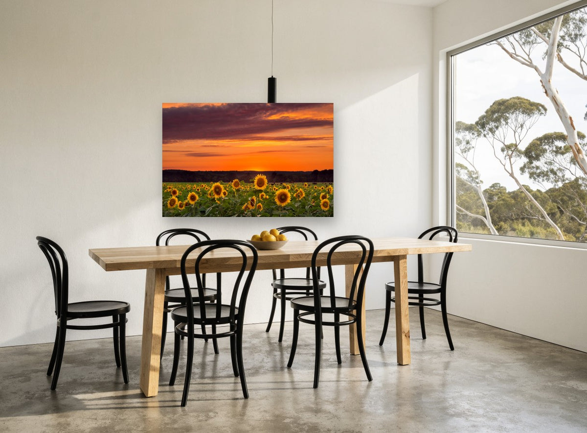 Sunflower Field Dusk floral canvas print on the wall of a dining room