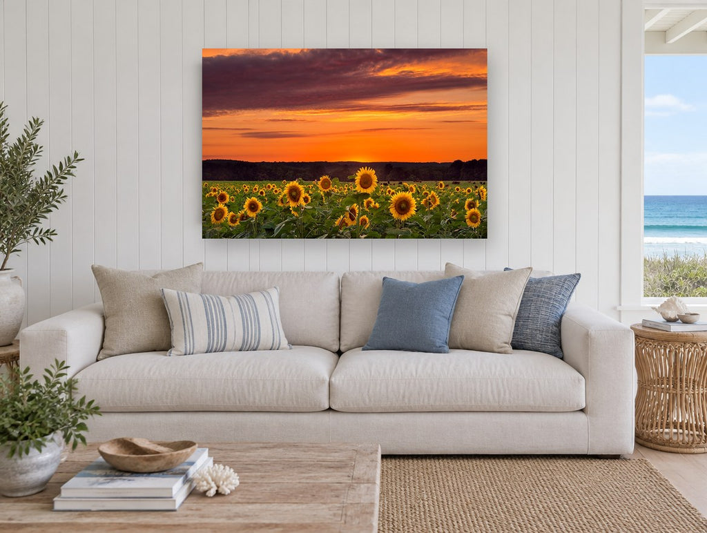 Sunflower Field Dusk floral canvas print on the wall of a beach house living room