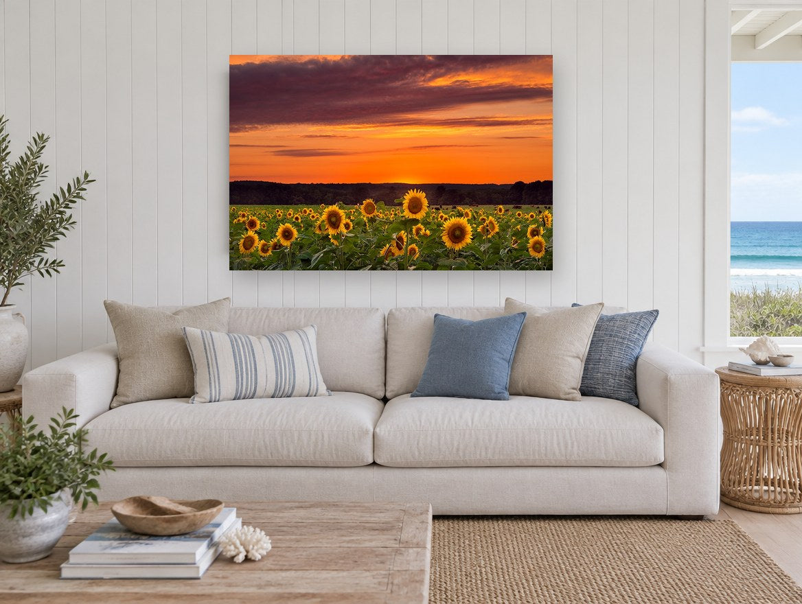 Sunflower Field Dusk floral canvas print on the wall of a beach house living room