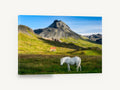 White Horse Below Peak, white horse mountain valley photograph, landscape canvas wall art print ready to hang