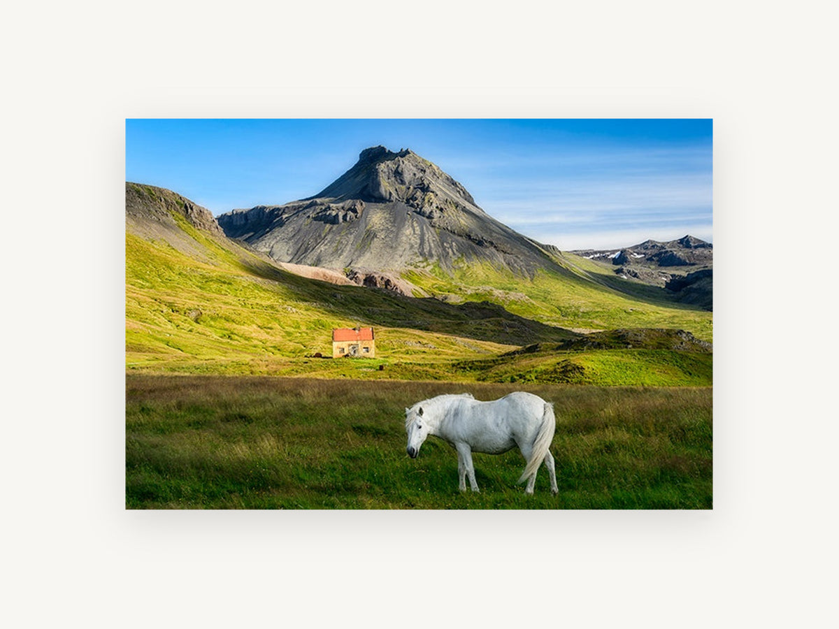 White Horse Below Peak, white horse mountain valley photograph, landscape canvas wall art print, front view