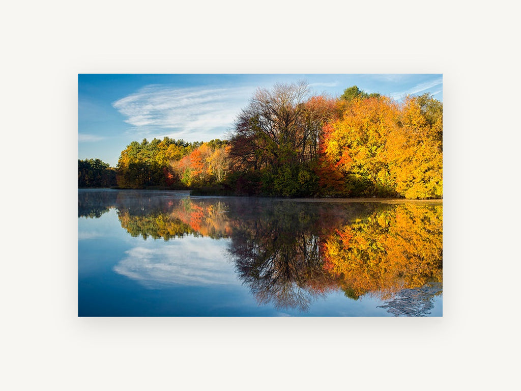 Golden Shoreline Stillness, autumn trees lake reflection photograph, landscape canvas wall art print, front view