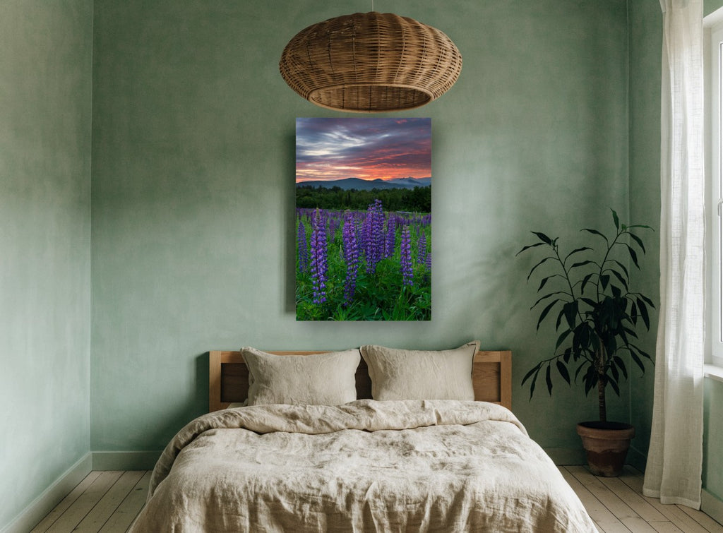 Lupines at Dusk floral canvas print on the wall of a bedroom