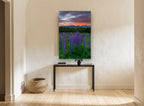 Lupines at Dusk floral canvas print on the wall of a hallway