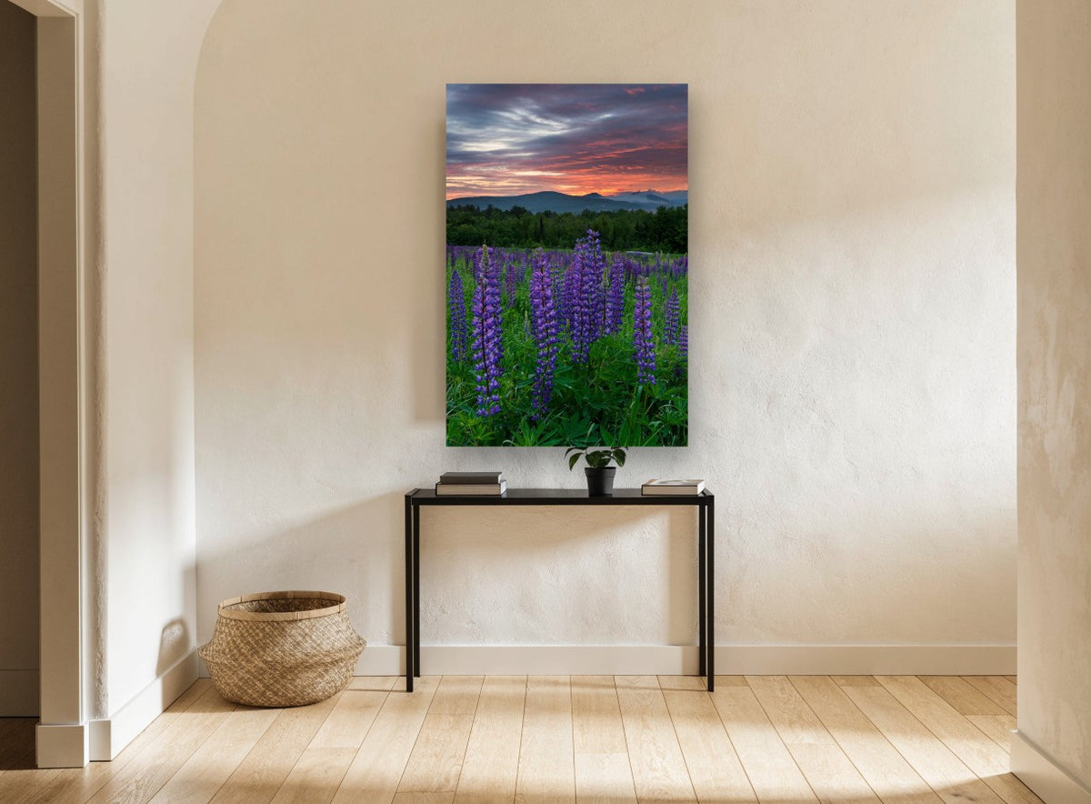 Lupines at Dusk floral canvas print on the wall of a hallway