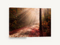 Autumn Light Rays, misty autumn forest road photograph, landscape canvas wall art print ready to hang