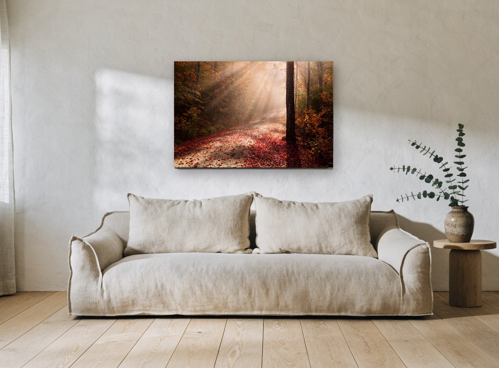 Autumn Light Rays landscape canvas print on the wall of a living room