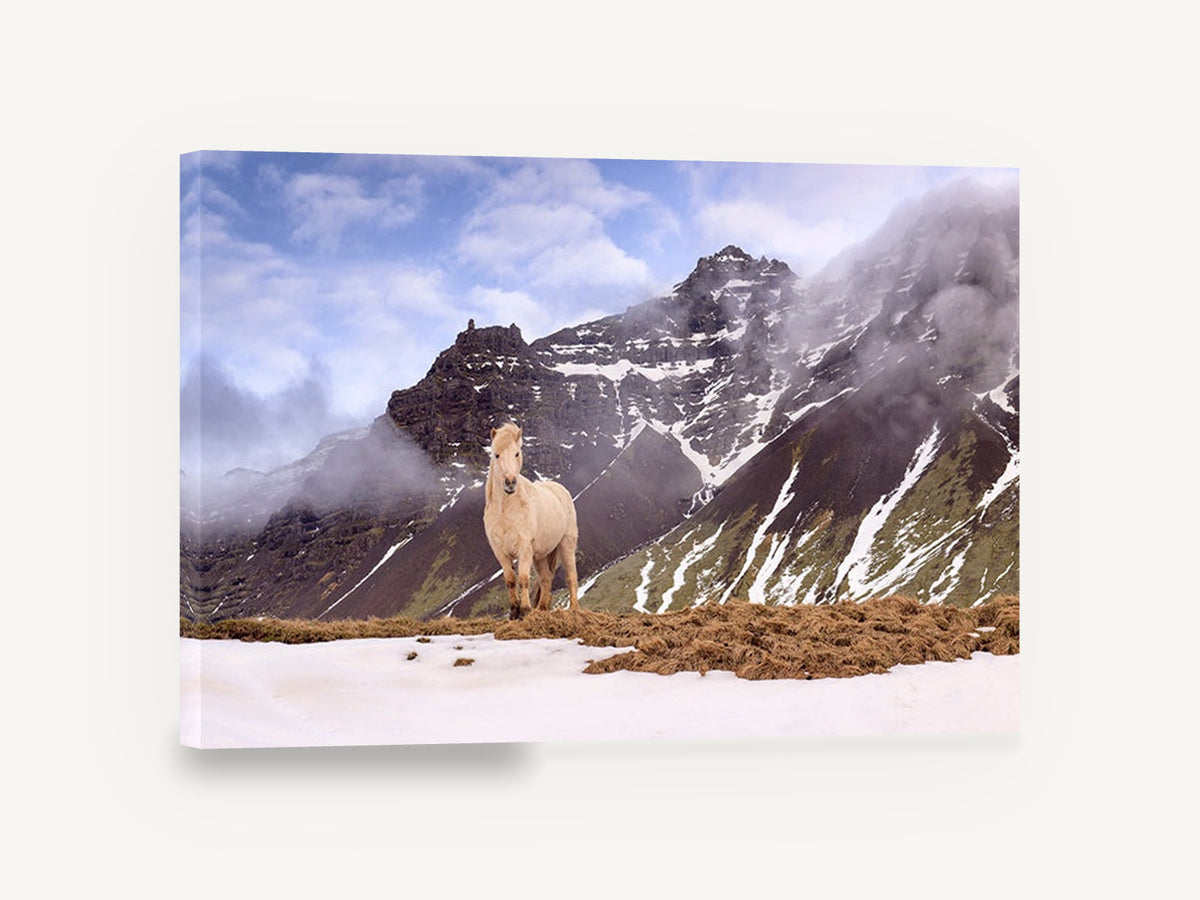 Pale Horse Snow Ridge, cream horse snowy mountain photograph, landscape canvas wall art print ready to hang