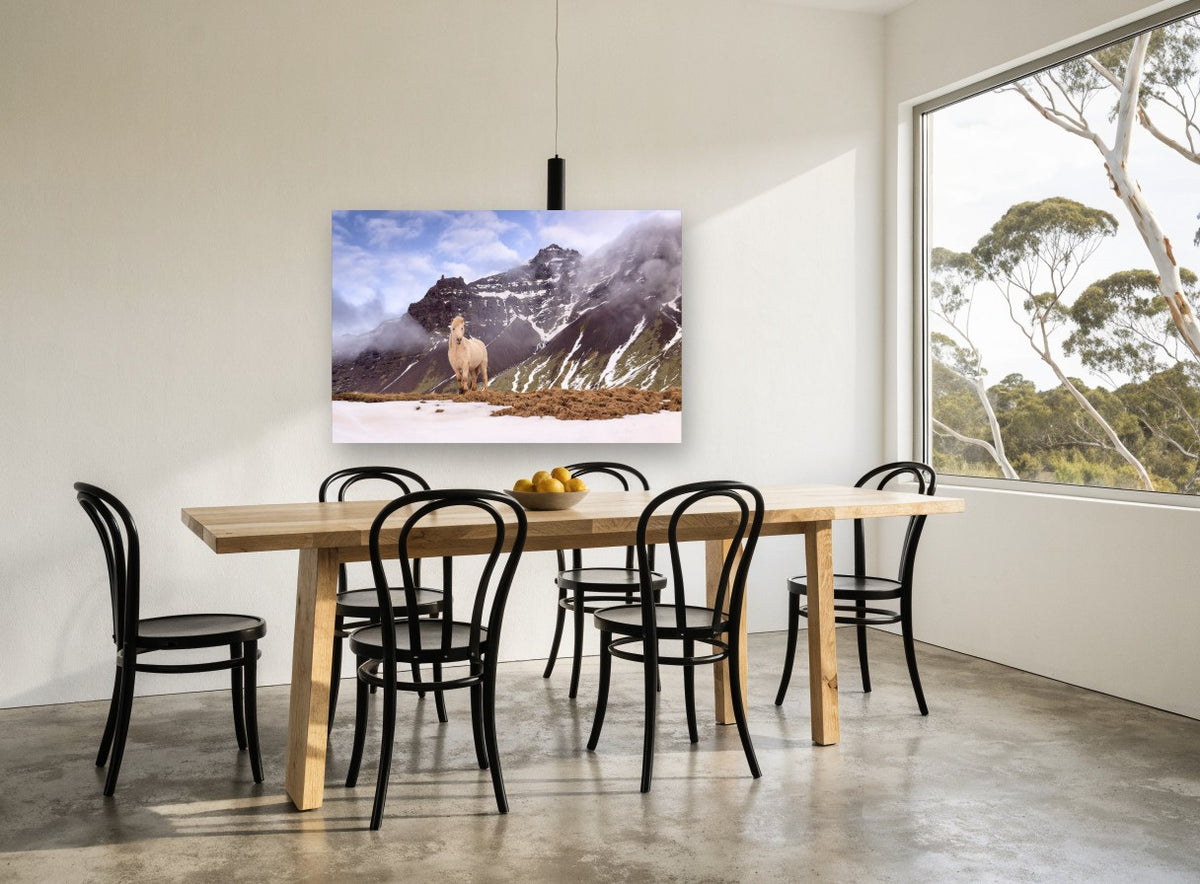 Pale Horse Snow Ridge landscape canvas print on the wall of a dining room