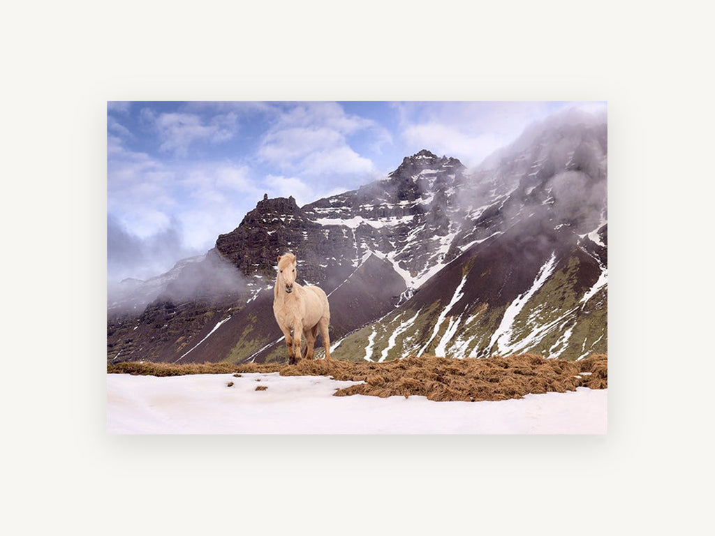 Pale Horse Snow Ridge, cream horse snowy mountain photograph, landscape canvas wall art print, front view