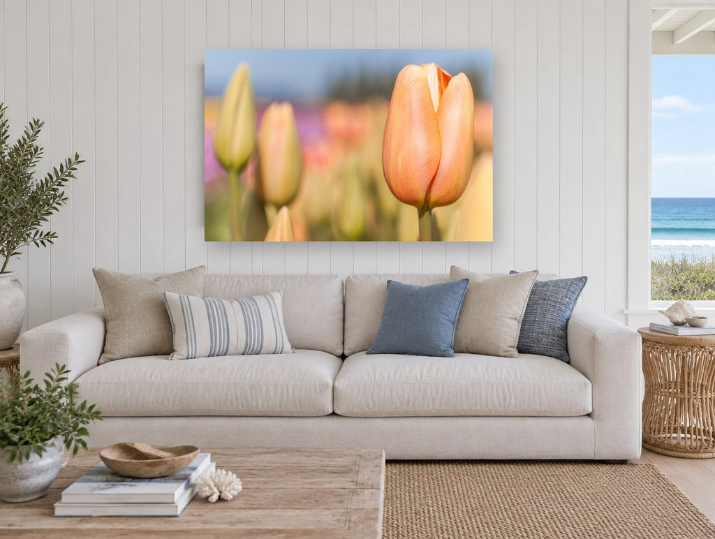 Peach Tulip Bud floral canvas print on the wall of a beach house living room