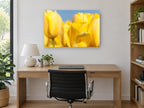 Yellow Tulip Sunshine floral canvas print on the wall of a study
