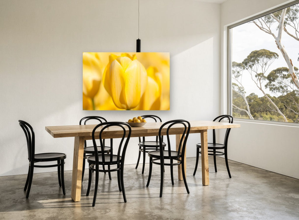 Soft Yellow Tulip floral canvas print on the wall of a dining room
