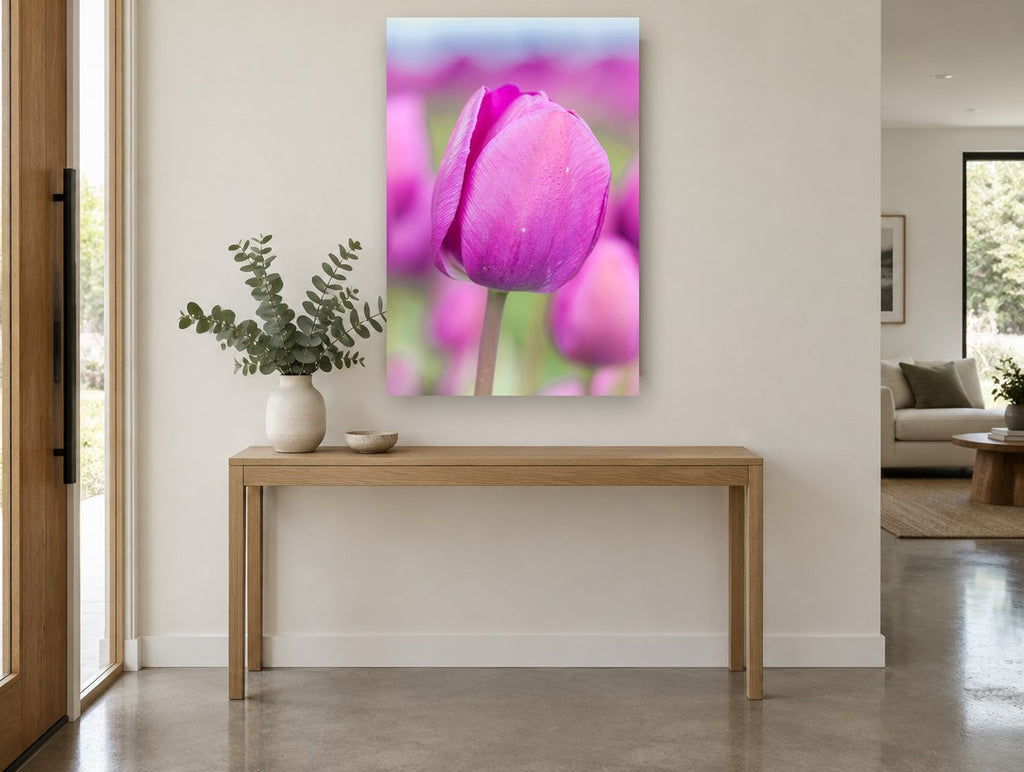 Magenta Tulip Bloom floral canvas print on the wall of a entry hall