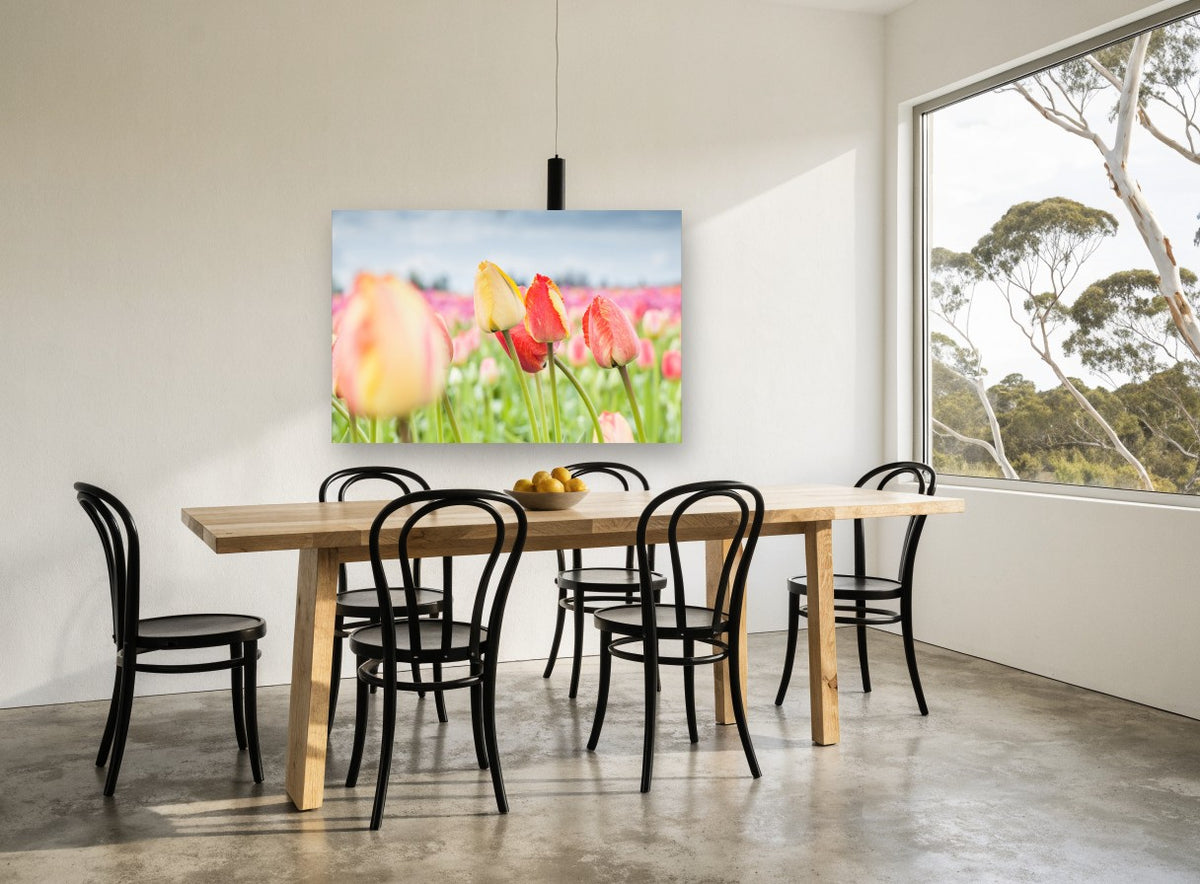 Tulips Under Grey Sky floral canvas print on the wall of a dining room