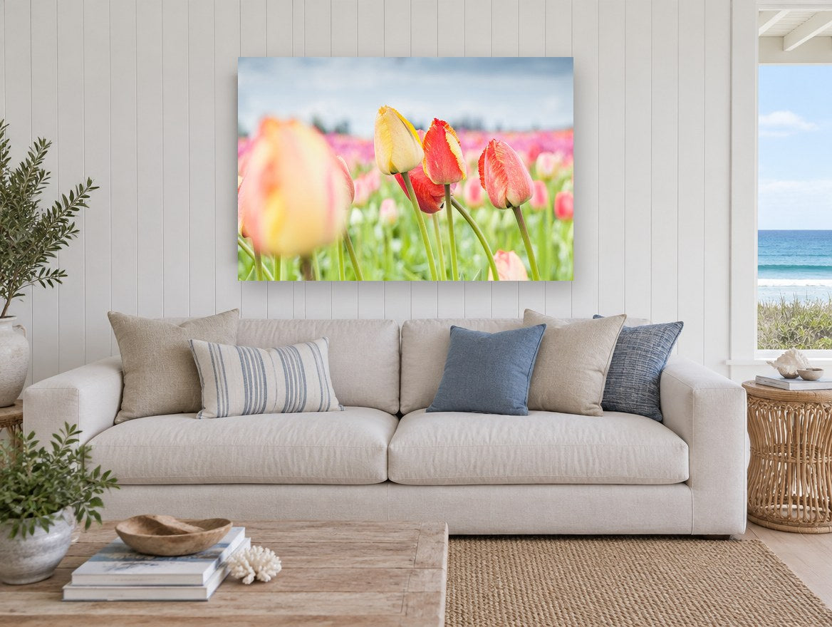 Tulips Under Grey Sky floral canvas print on the wall of a beach house living room