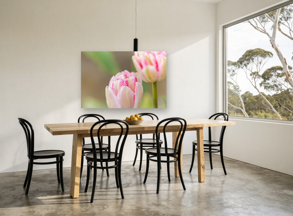 Blush Double Tulips floral canvas print on the wall of a dining room